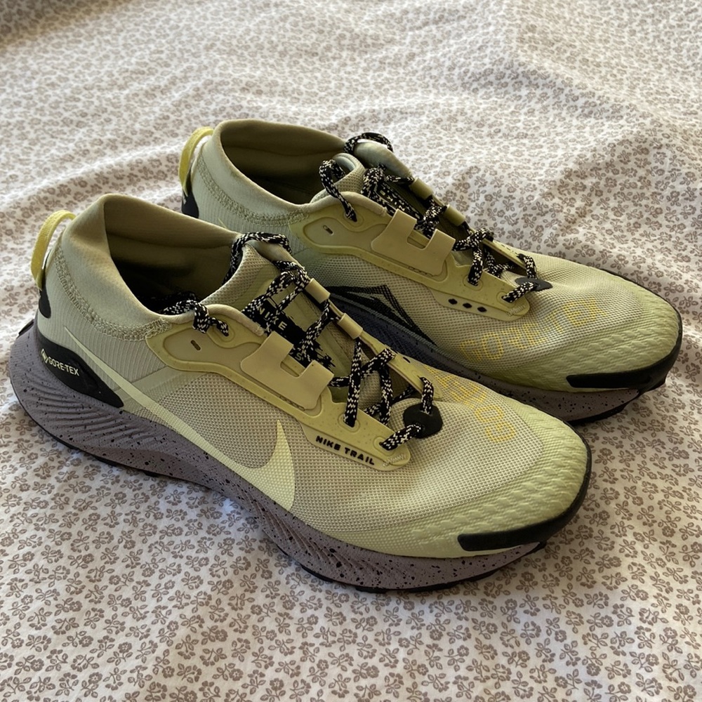 Nike Pegasus trail 3 Gore-Tex trail running shoes